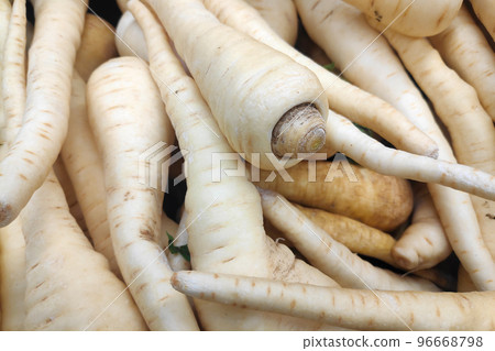 Stack of parsnips on a market stall 96668798