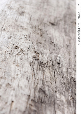Old weathered wood background.Wooden backdrop. 96669006