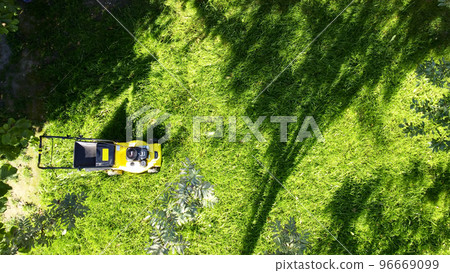 yellow lawn mower view from the top 96669099