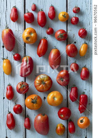Ugly tomatoes Ugly tomatoes 96670562