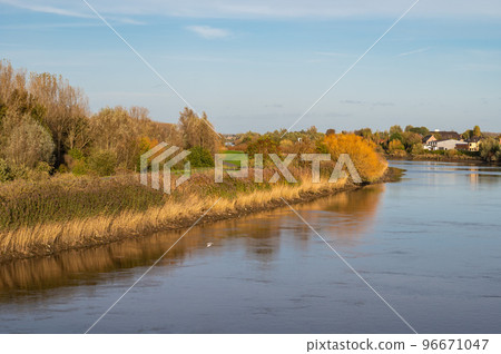 Golden autumn colors at the banks of the river Scheldt, Berlare, Belgium 96671047