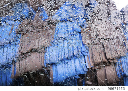 洗車的旋轉刷approachs_02 洗車的旋轉刷approachs_02 96671653