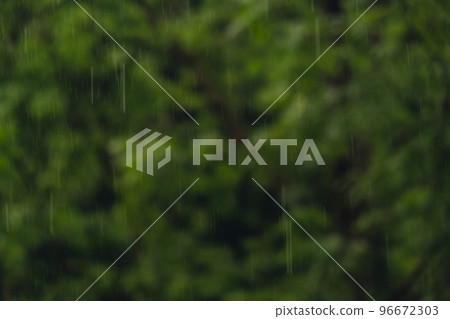 Defocused background of Heavy rain pouring shower, thunderstorm in summer. Green trees on background. Windy rainy weather, close up dark evening footage shot with bokeh. Season tropical rainforest Defocused background of Heavy rain pouring shower, thunderstorm in summer. Green trees on background. Windy rainy weather, close up dark evening footage shot with bokeh. Season tropical rainforest 96672303