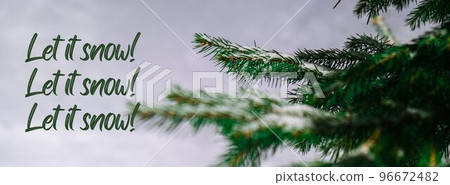 Let it snow Inspiration joke quote phrase Coniferous branches covered with hoarfrost. Pine fir tree Banner 96672482