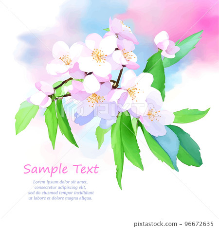 Vector decoration branch with flowers, spring cherry blossom on white background. Place for your text. Design for invitation, card, poster, flyer, label 96672635