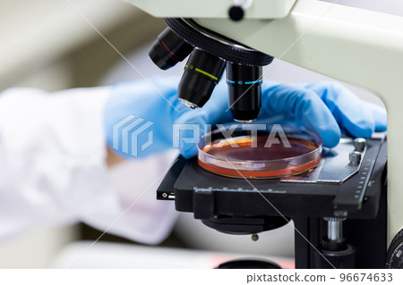 Laboratory development laboratory clinical examination biotechnology new drug 96674633