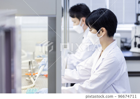A researcher working on a clean bench 96674711