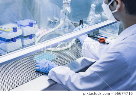 A researcher working on a clean bench 96674716