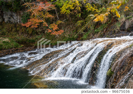 [Aichi Prefecture] Tsuta no Fuchi 96675036