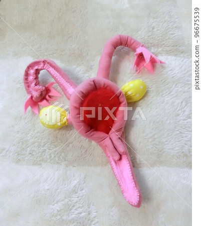 The bed that welcomes life The important role of the uterine lining 96675539