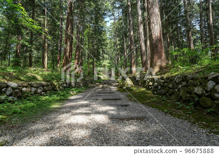 Scenery of the approach to the inner temple surrounded by silence @ Fukui 96675888