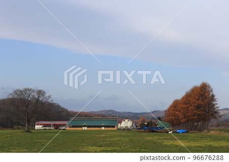 Scenery with farms in the Tokachi region of Hokkaido Scenery with farms in the Tokachi region of Hokkaido 96676288