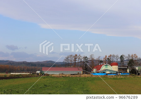 北海道十勝地區的農場風景 96676289