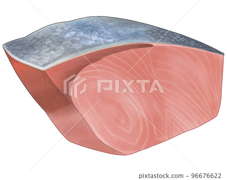 A delicious hand-drawn illustration of a realistic taste of amberjack fillet 96676622