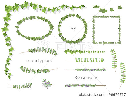 Leaf illustration frame set (watercolor, ivy, eucalyptus, rosemary) Leaf illustration frame set (watercolor, ivy, eucalyptus, rosemary) 96676717