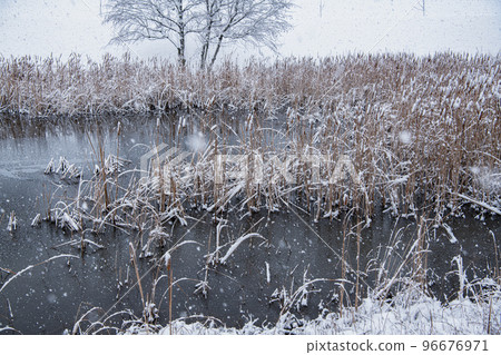 金澤城公園雪景 96676971