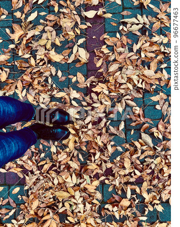 Golden leaves on the ground in golden autumn decorate yards and parks Golden leaves on the ground in golden autumn decorate yards and parks 96677463