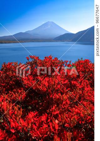 秋天的風景富士山和本栖湖與秋葉山梨縣 秋天的風景富士山和本栖湖與秋葉山梨縣 96677647