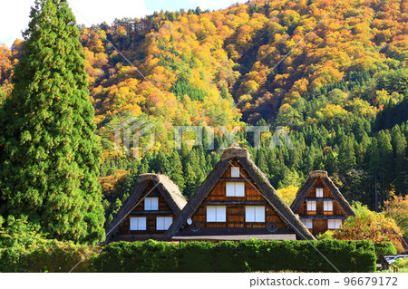 秋天的白川鄉：紅葉交相輝映的合掌造村落 96679172