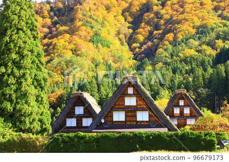 秋天的白川鄉：紅葉交相輝映的合掌造村落 96679173