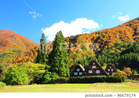 秋天的白川鄉：紅葉交相輝映的合掌造村落 96679174
