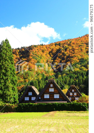 秋天的白川鄉：紅葉交相輝映的合掌造村落 96679175
