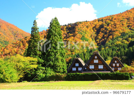 秋天的白川鄉：紅葉交相輝映的合掌造村落 96679177