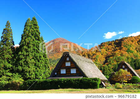秋天的白川鄉:紅葉交相輝映的合掌造村落 秋天的白川鄉:紅葉交相輝映的合掌造村落 96679182