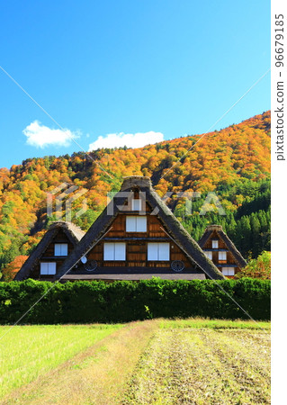 秋天的白川鄉：紅葉交相輝映的合掌造村落 96679185