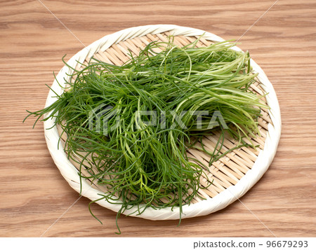 羊栖菜海藻 96679293