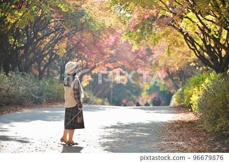 Fall trip, autumn scenery Fall trip, autumn scenery 96679876