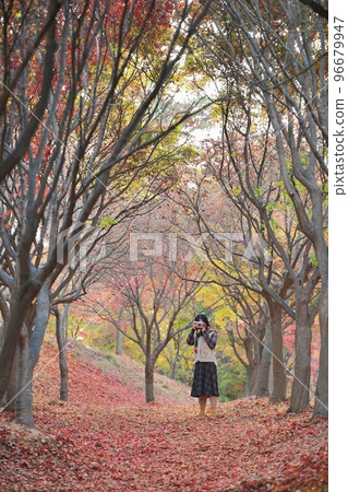 秋季旅行,秋天的景色 秋季旅行,秋天的景色 96679947