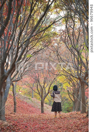 秋季旅行，秋天的景色 96679948