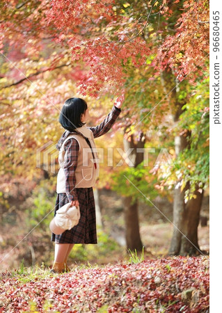 Fall trip, autumn scenery 96680465