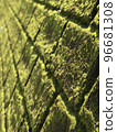 Moss wall 96681308