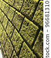 Moss Wall 96681310