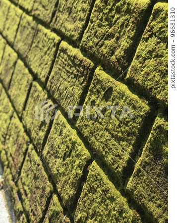 Moss Wall Moss Wall 96681310