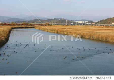 Autumn scenery, the road I want to walk 96681551