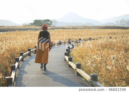 秋天的風景，我想走的路 96681598