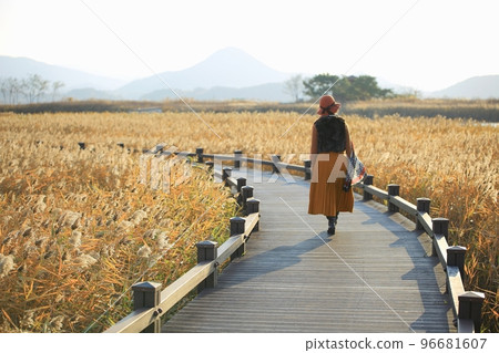 Autumn scenery, the road I want to walk 96681607