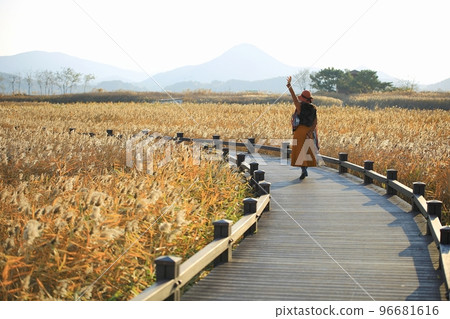 秋天的風景，我想走的路 96681616