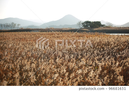Autumn scenery, the road I want to walk 96681631