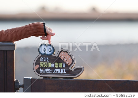 Beautiful autumn scenery, reed field road 96682159