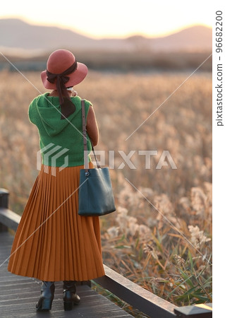 Beautiful autumn scenery, reed field road 96682200