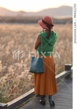 Beautiful autumn scenery, reed field road Beautiful autumn scenery, reed field road 96682203