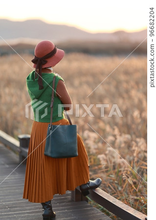Beautiful autumn scenery, reed field road 96682204