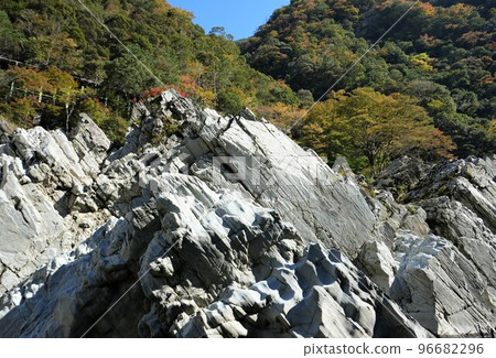 Fall leaves Fall leaves 96682296