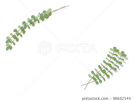 桉樹邊框（手繪水彩風格矢量圖） 96682544