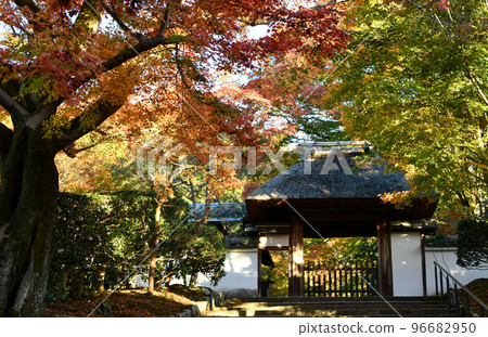 深秋的京都安樂寺 深秋的京都安樂寺 96682950