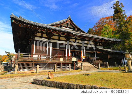 [Nara Prefecture] Todaiji Hokke-do (Sangatsu-do) in sunny weather 96683264